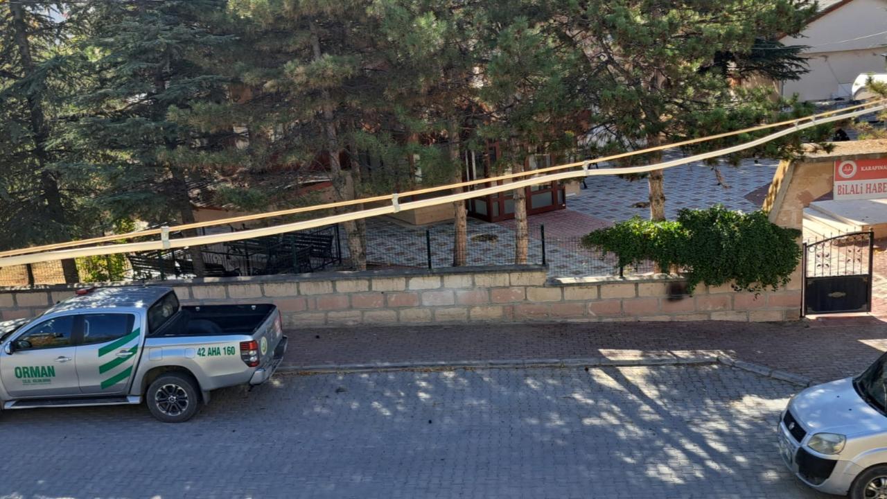 KARAPINAR’DA İZİNSİZ AĞAÇ KESENE PARA CEZASI UYGULANDI