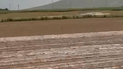 Karapınar'da Sağanak: Çiftçiye Bereket Getirdi