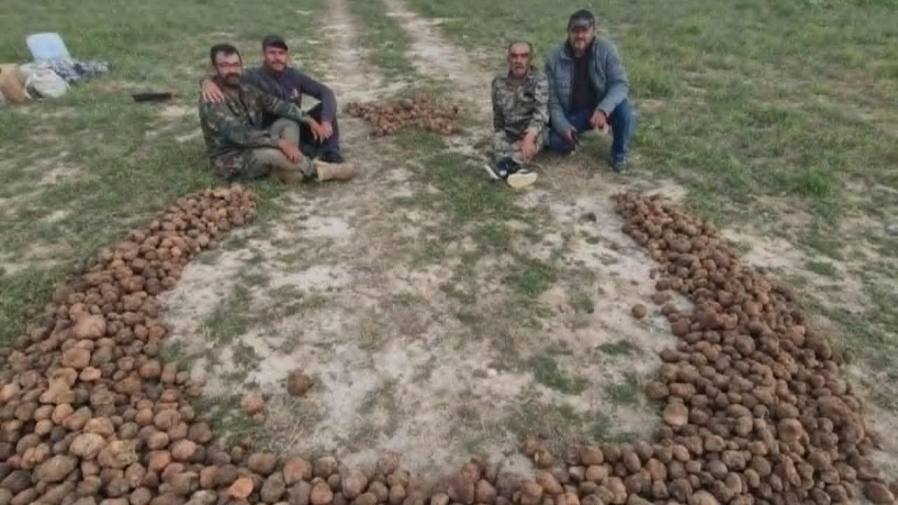 Karapınarlı Dolaman Kurdundan 60 Bin TL'lik Kazanç