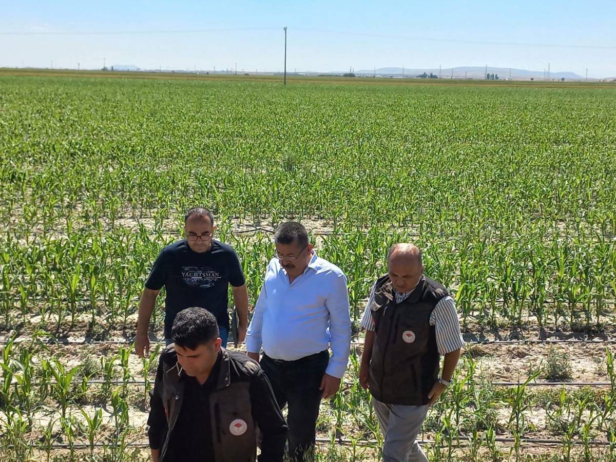 Karapınar Dolu Mesaisi: Tarlalarda Hasar İncelendi