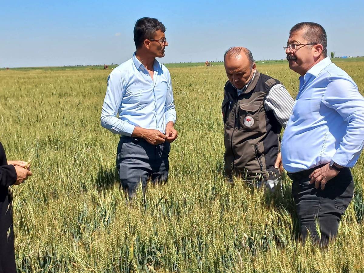 Karapınar Dolu Mesaisi: Tarlalarda Hasar İncelendi