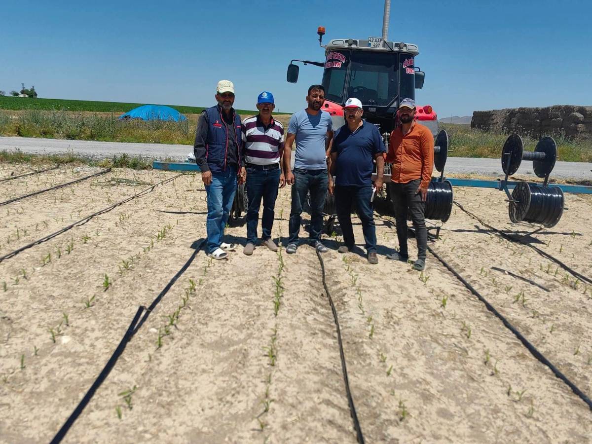 Karapınar'da Hububat İçin Kapsamlı Saha İncelemesi